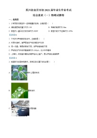 2021年四川省自贡市中考物理试题（含答案）