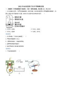 2021年山东省济宁市中考物理试题（含答案）