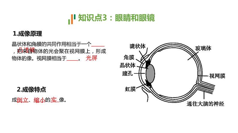 人教版物理---中考复习专题讲5——透镜及其应用课件PPT第6页