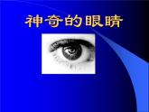 沪科版八年级全册 物理 课件 4.6神奇的眼睛4
