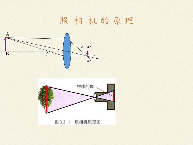 人教版八年级上册 物理 课件 5.2生活中的透镜第4页