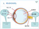 人教版八年级上册 物理 课件 5.4眼睛和眼镜