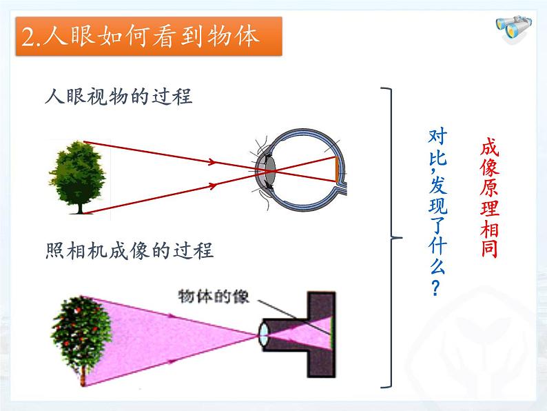 人教版八年级上册 物理 课件 5.4眼睛和眼镜第5页