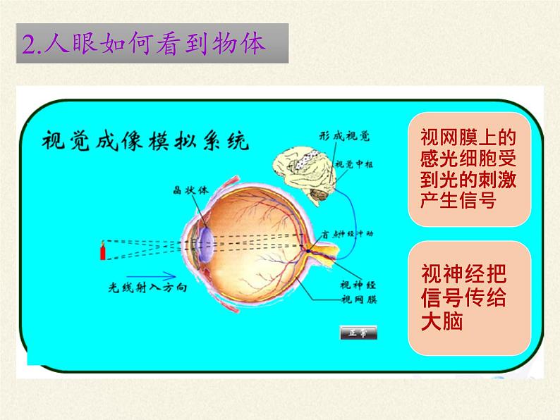 人教版八年级上册 物理 课件 5.4眼睛和眼镜第6页