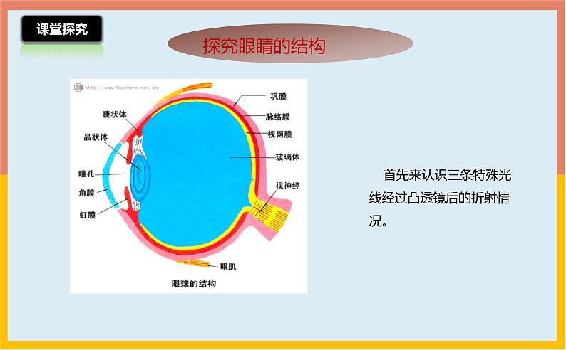 4.4照相机与眼球视力的矫正课件1-2021-2022学年苏科版八年级物理上册06