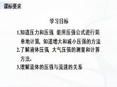 人教版八下物理 第九章《章节综合与测试》课件（送教案）