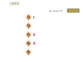 2020－2021学年苏科版九年级下册物理课件 15.4.家庭电路与安全用电  第2课时  安全用电