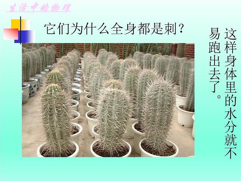 苏科版八年级上册物理 2.2 汽化和液化_ 课件02