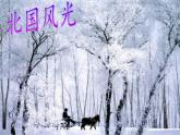 苏科版八年级上册物理 2.4 升华和凝华(1) 课件