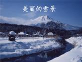 苏科版八年级上册物理 2.4 升华和凝华(1) 课件