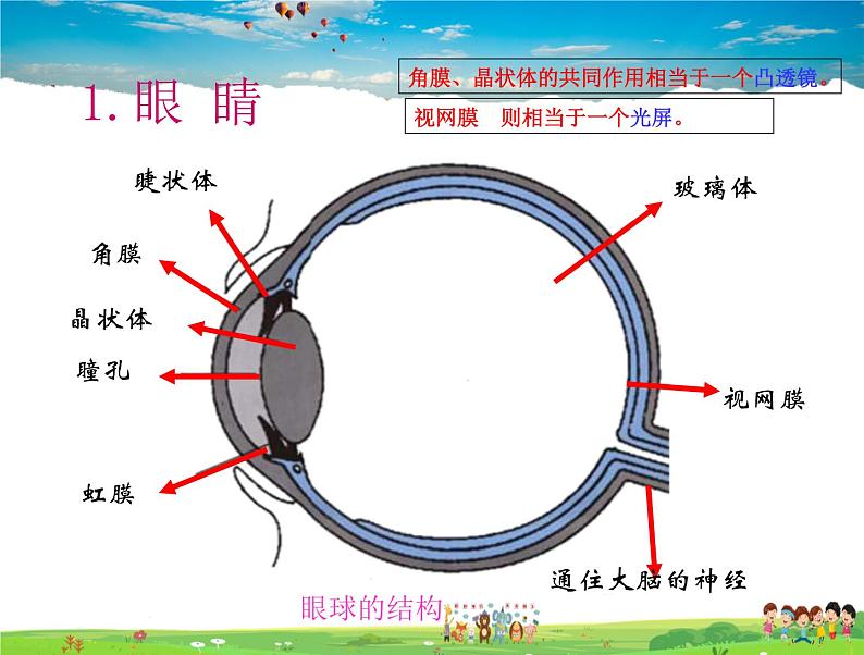 北师大版物理八年级下册  6.4眼睛和眼镜【课件+教案】02