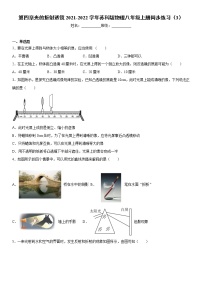 初中物理苏科版八年级上册第四章 光的折射 透镜综合与测试同步测试题