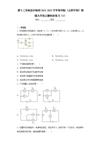 鲁教版 (五四制)九年级上册第十二章 电压和电阻综合与测试习题