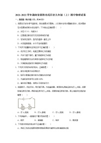 湖南省邵阳市武冈市2021-2022学年九年级上学期期中物理试卷（word版 含答案）