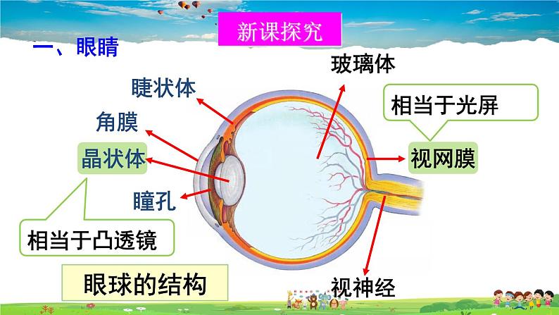 北师大版物理八年级下册  第六章 常见的光学仪器  第四节 眼睛和眼镜【课件+教案】03