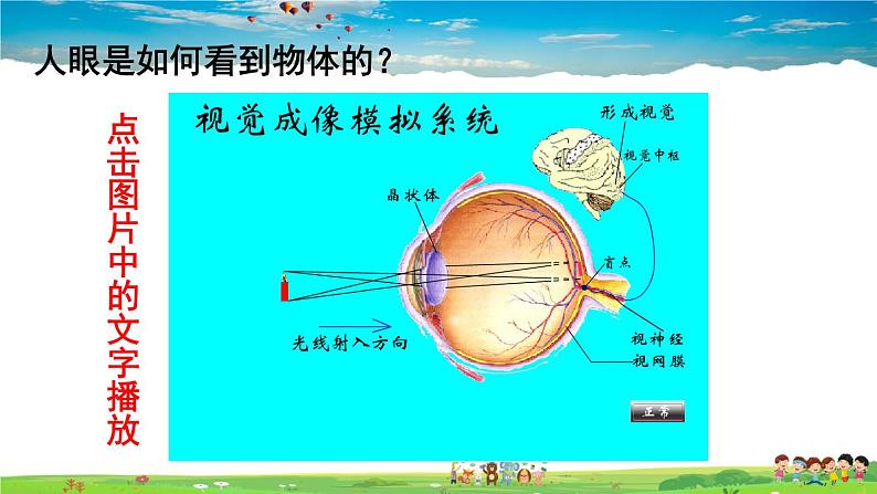 北师大版物理八年级下册  第六章 常见的光学仪器  第四节 眼睛和眼镜【课件+教案】04