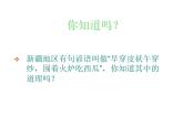 名校九年级物理上册课件：第十三章 第二节 《科学探究：物质的比热容》 (共21张PPT)