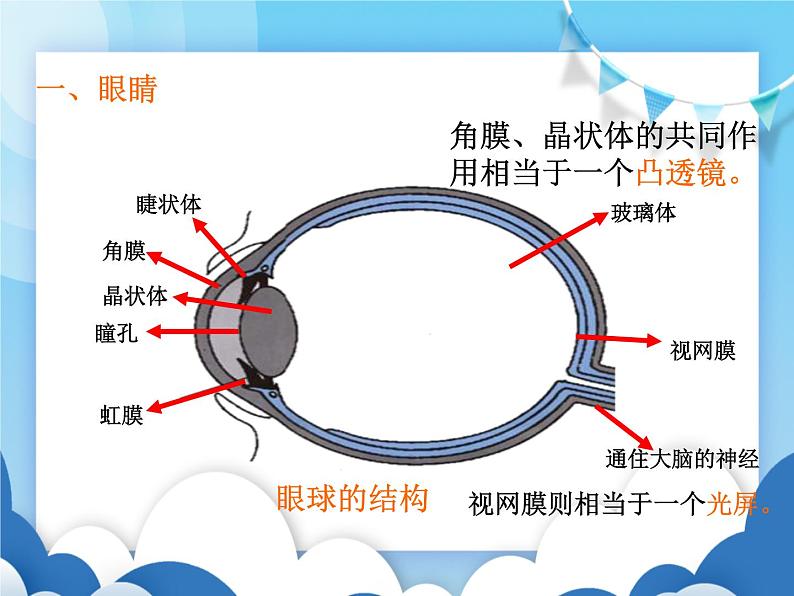 沪科版物理八年级上册  4.6神奇的眼睛【课件】第2页