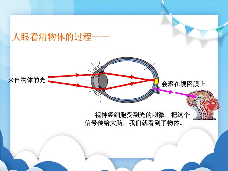 沪科版物理八年级上册  4.6神奇的眼睛【课件】第3页