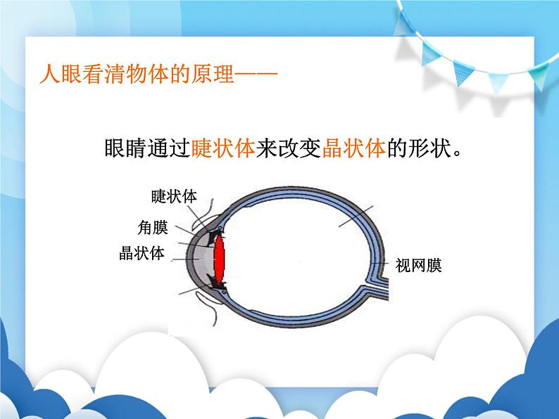 沪科版物理八年级上册  4.6神奇的眼睛【课件】第4页