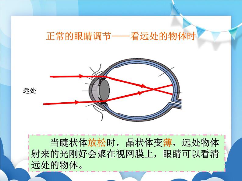 沪科版物理八年级上册  4.6神奇的眼睛【课件】第5页