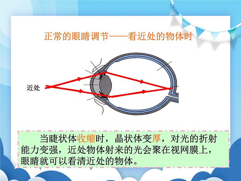 沪科版物理八年级上册  4.6神奇的眼睛【课件】第6页