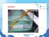 探究光的折射規(guī)律PPT課件免費下載