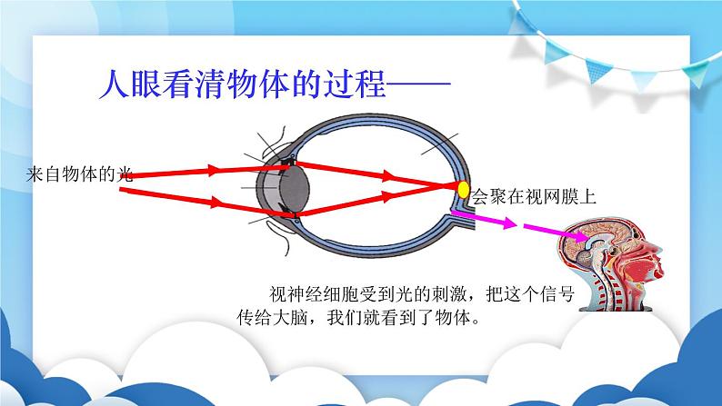 鲁教版物理八年级上册  4.4眼睛和眼镜【课件】第3页