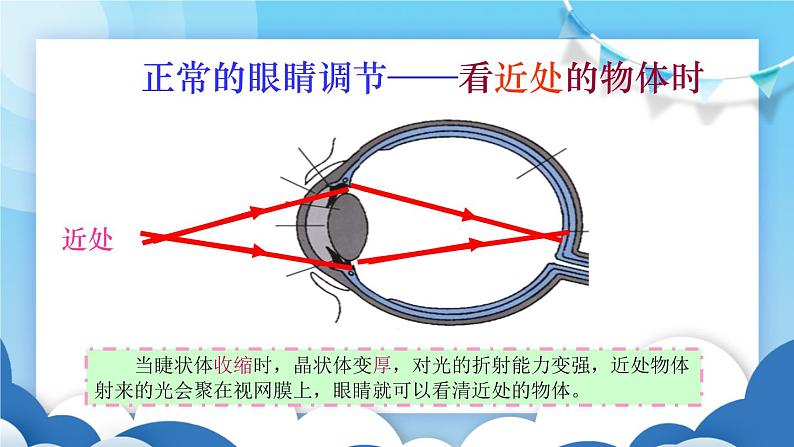 鲁教版物理八年级上册  4.4眼睛和眼镜【课件】第5页