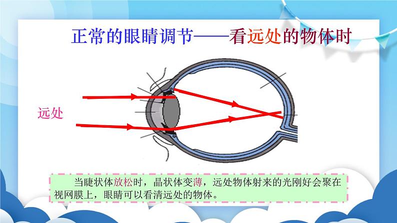 鲁教版物理八年级上册  4.4眼睛和眼镜【课件】第6页