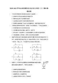 2020-2021学年山东省潍坊市安丘市九年级（上）期末物理试卷