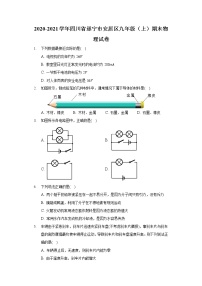 2020-2021学年四川省遂宁市安居区九年级（上）期末物理试卷