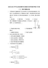 2020-2021学年山东省德州市禹城市龙泽实验学校八年级（上）期中物理试卷