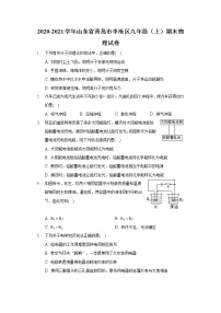 2020-2021学年山东省青岛市李沧区九年级（上）期末物理试卷