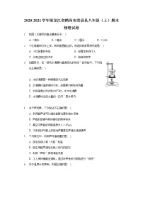 2020-2021学年黑龙江省鹤岗市绥滨县八年级（上）期末物理试卷