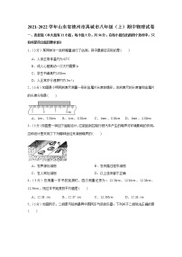 山东省德州市禹城市2021-2022学年八年级上学期期中物理试卷（word版 含答案）