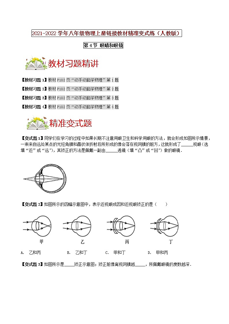 人教版八年级物理上册 第五章 《透镜及其应用》第4节 眼睛和眼镜（解析版+原卷版）期末复习试卷01