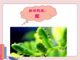 温度的测量PPT课件免费下载