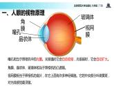 5.4眼睛和眼镜课件PPT