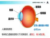 5.4眼睛和眼镜课件PPT