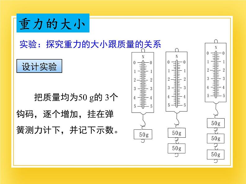 6.3重力  —2020-2021学年鲁科版（五四制）八年级物理下册课件第7页