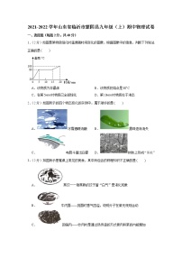 山东省临沂市蒙阴县2021-2022学年九年级上学期期中物理试卷（word版 含答案）