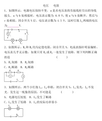 2022年人教版物理中考专题训练  电压   电阻