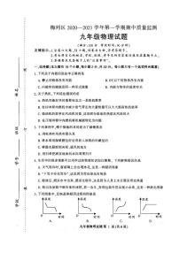 福建省三明市梅列区2020-2021年九年级上学期期中考试物理试题（PDF版 无答案）