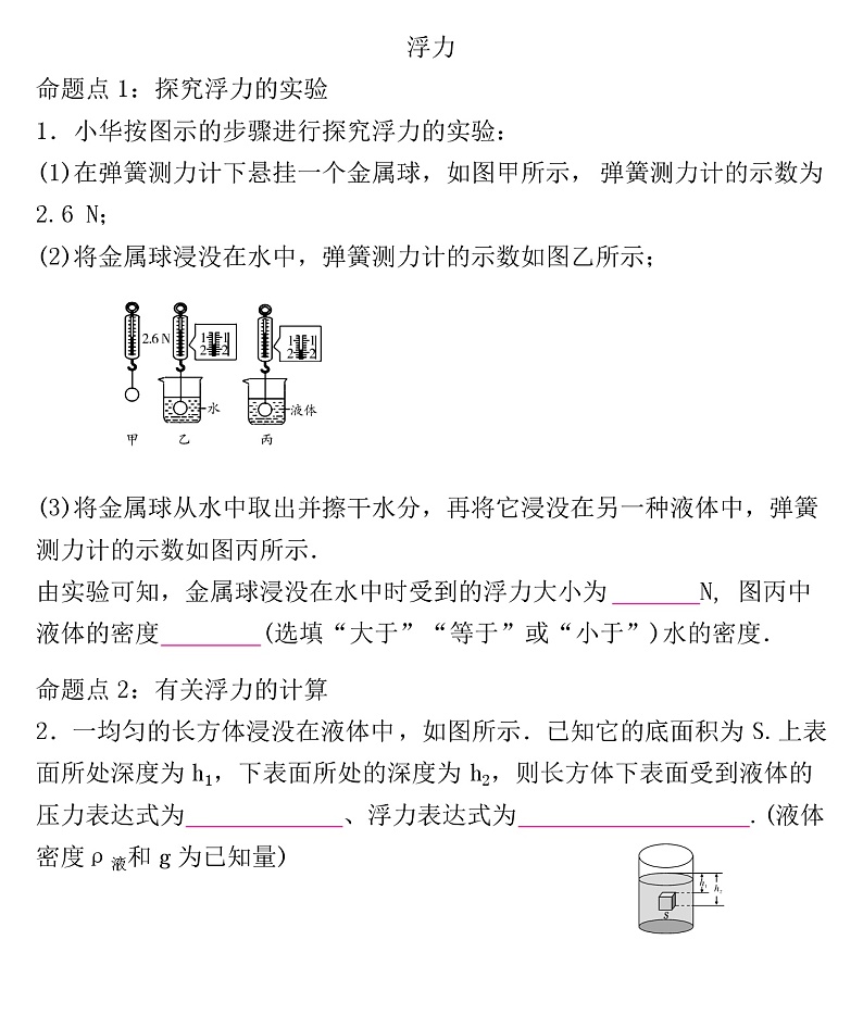 2022年人教版物理中考专题训练   浮力第1页