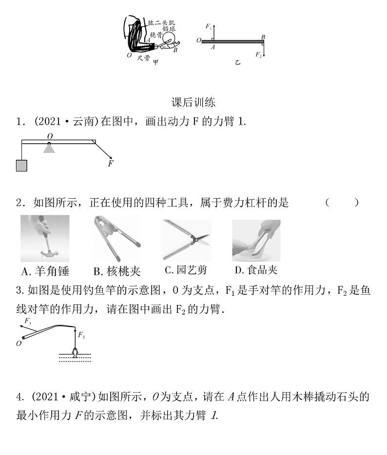2022年人教版物理中考专题训练   杠杆第3页