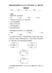 河南省安阳市林州市2021-2022学年九年级（上）期中考试物理试题（word版 含答案）