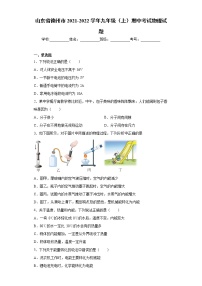 山东省德州市2021-2022学年九年级（上）期中考试物理试题（word版 含答案）