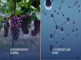 13.1物体的内能 课件 初中物理沪科版九年级全一册（2021年）