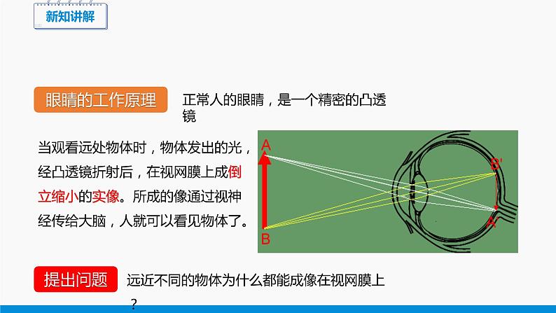 4.6 神奇的眼睛 同步课件 初中物理沪科版八年级全一册（2021年）第5页